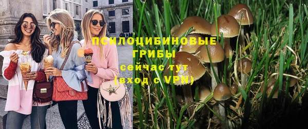 стаф Армянск