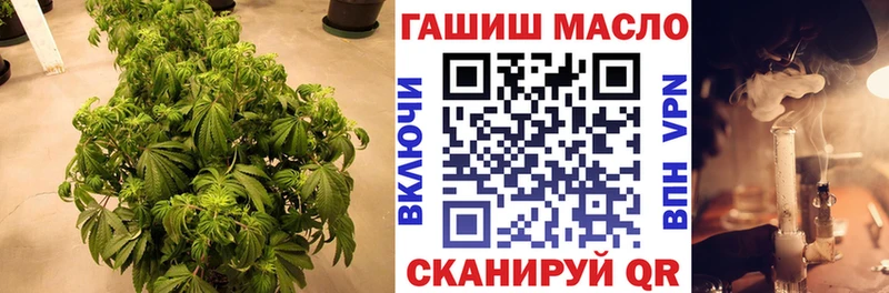 ТГК THC oil  Купить  Лесосибирск 