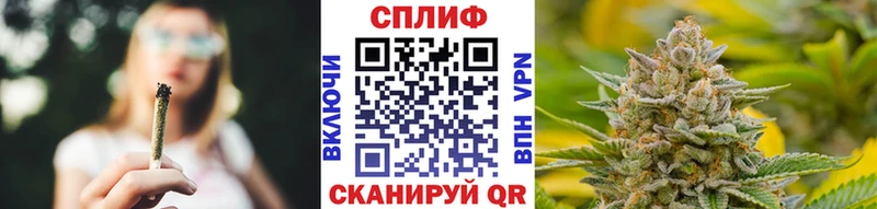 Каннабис гибрид Лесосибирск